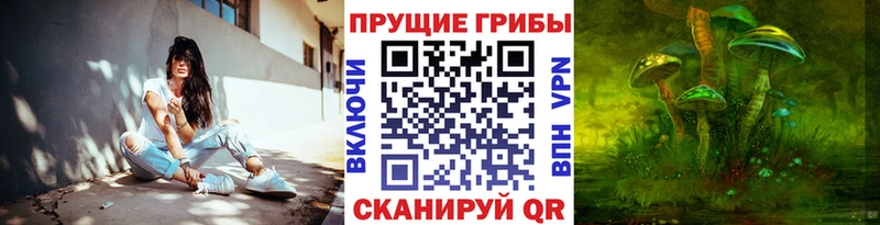 Галлюциногенные грибы Psilocybine cubensis  mega зеркало  Шумиха 